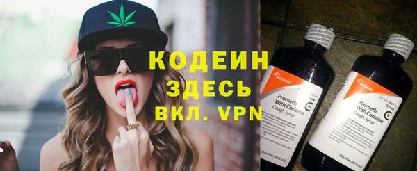 хмурый Новозыбков