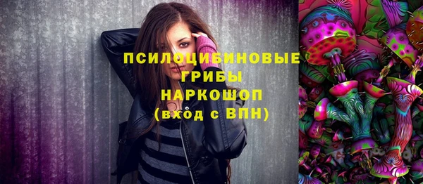 PSILOCYBIN Новодвинск