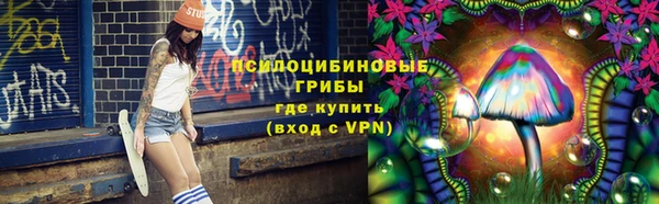 PSILOCYBIN Новодвинск