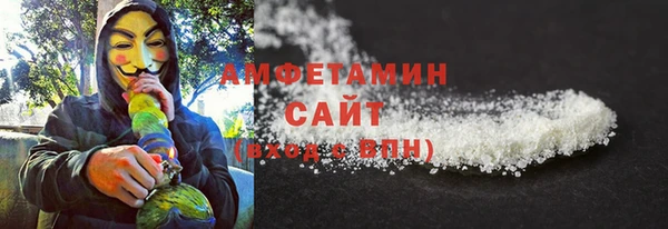 хмурый Новозыбков
